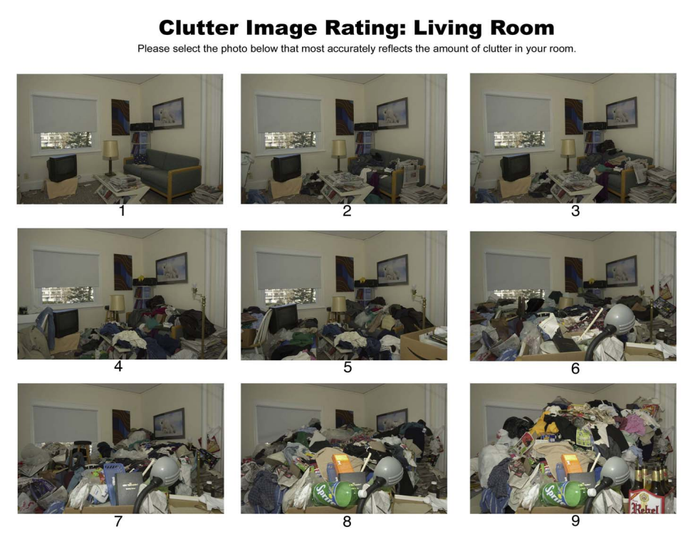 Clutter Image Rating: Living Room